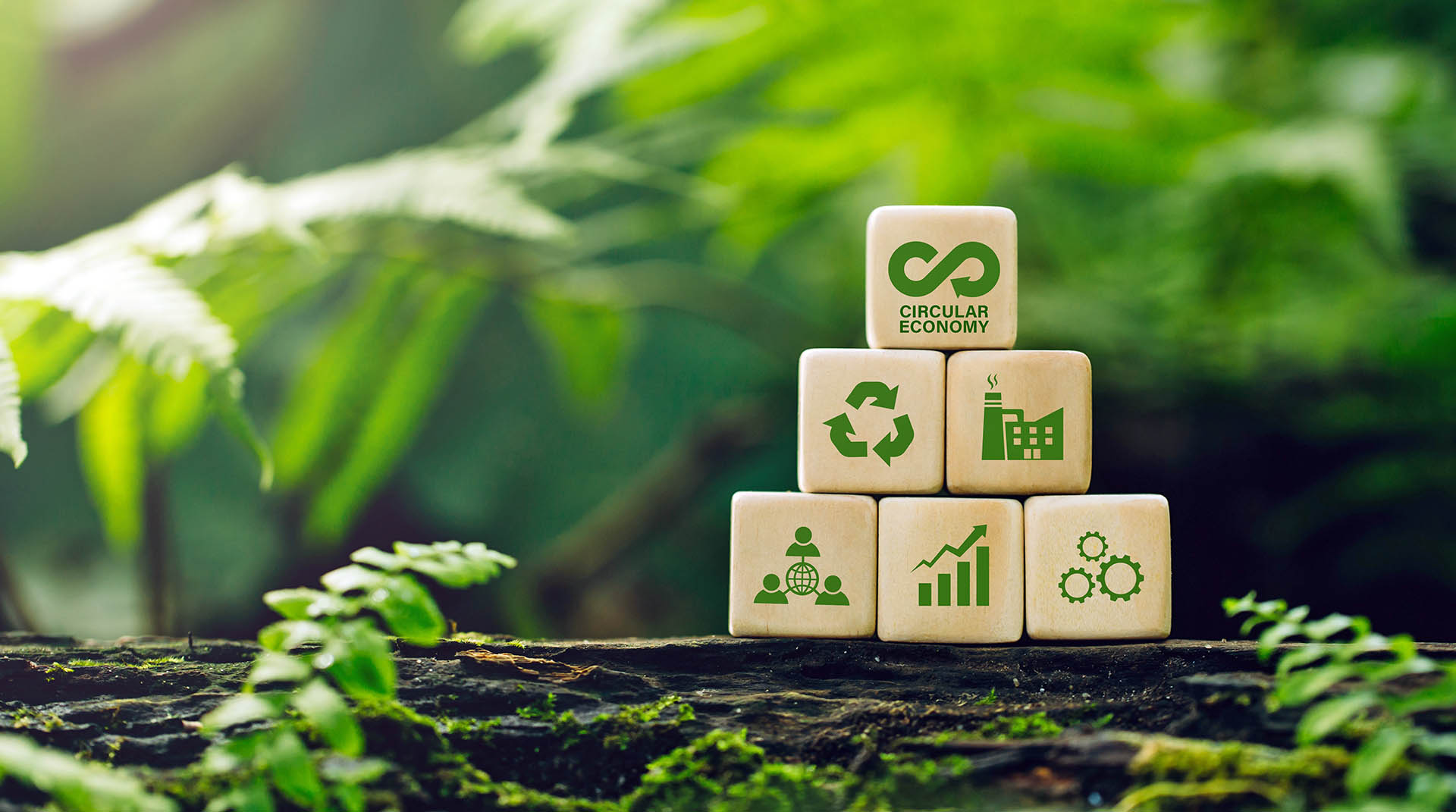 Nicoleta Lazăr: „Ne-am format o echipă cu expertiză de aproape 15 ani în domeniul deșeurilor din România și oferim suport de specialitate tuturor partenerilor noștri“