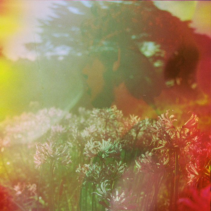 Oscilla Tongue Tied Cover