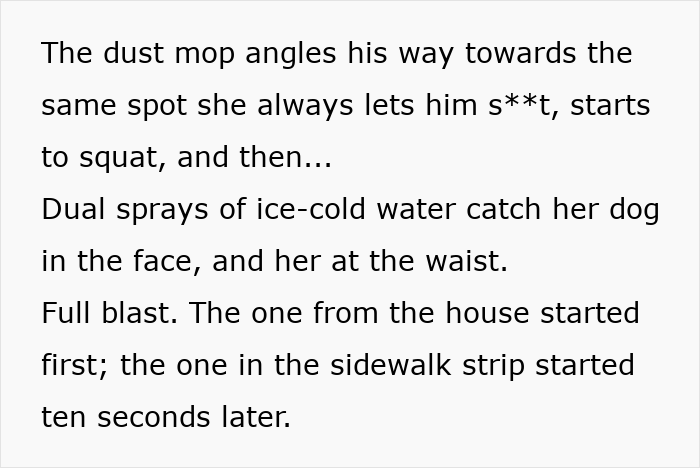Text excerpt describing a man’s petty revenge involving ice-cold water sprayed to deter an entitled dog owner’s pet. Text excerpt describing a man’s petty revenge involving ice-cold water sprayed to deter an entitled dog owner’s pet.
