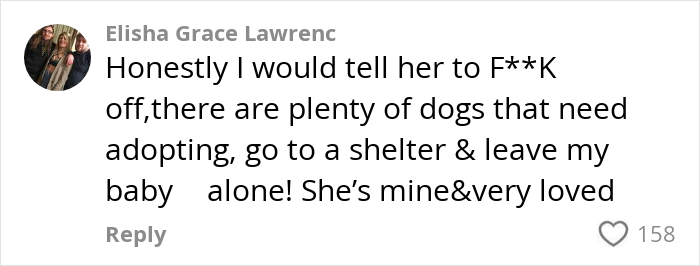 Comment expressing strong refusal to give stranger’s dog, emphasizing the need to adopt shelter dogs and protect her beloved pet. Comment expressing strong refusal to give stranger’s dog, emphasizing the need to adopt shelter dogs and protect her beloved pet.