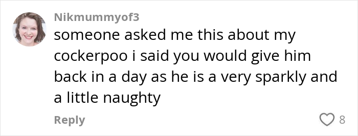 Comment about a cockerpoo dog describing it as sparkly, naughty, and someone asking about giving the dog back. Comment about a cockerpoo dog describing it as sparkly, naughty, and someone asking about giving the dog back.