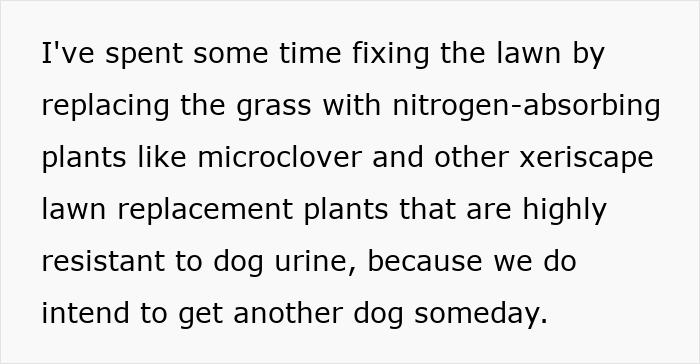 Man’s petty revenge on entitled dog owner involving lawn plants resistant to dog urine to deter future damage Man’s petty revenge on entitled dog owner involving lawn plants resistant to dog urine to deter future damage