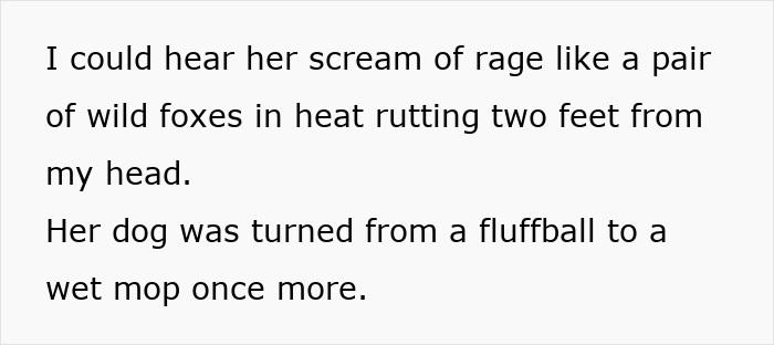 Text excerpt describing a man’s petty revenge on an entitled dog owner, highlighting frustration and a soaking dog. Text excerpt describing a man’s petty revenge on an entitled dog owner, highlighting frustration and a soaking dog.