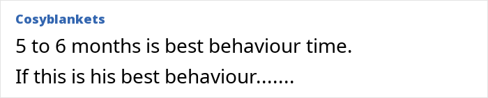 Text conversation showing a person describing behavior at 5 to 6 months, implying challenges before meeting girlfriend’s parents.