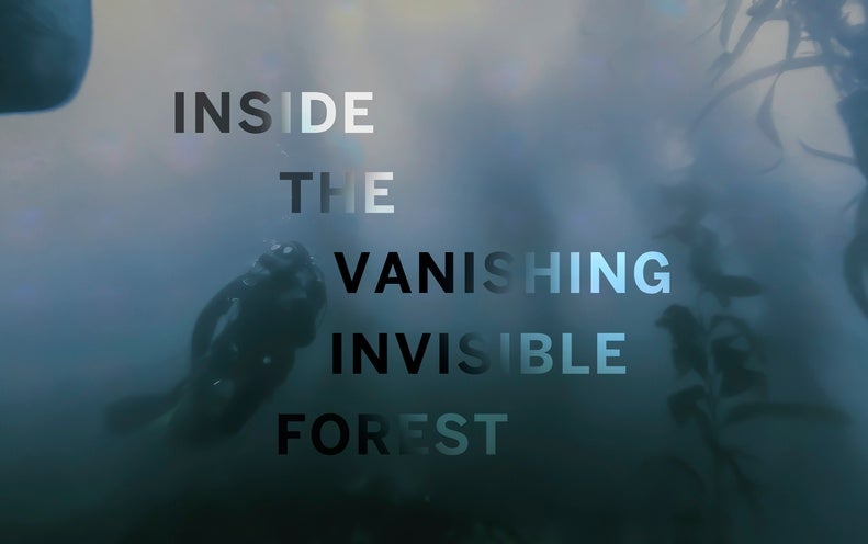 Dive into a Vanishing Invisible Forest to See What Climate Has Changed