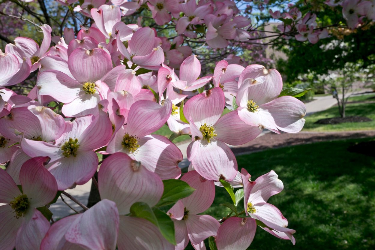 Spring 2022 Teaching Symposium