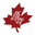 Belarusian Canadian Alliance